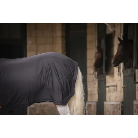 Paddock - Chemise cheval séchante