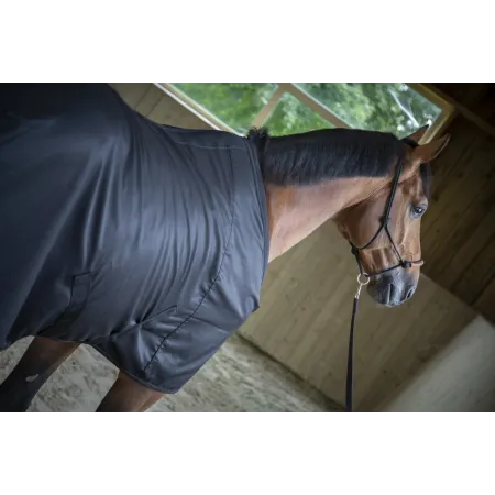 Paddock - Chemise cheval Light Mesh