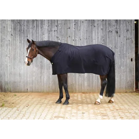 Waldhausen - Sous-couverture economique