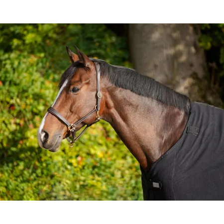 Waldhausen - Sous-couverture economique