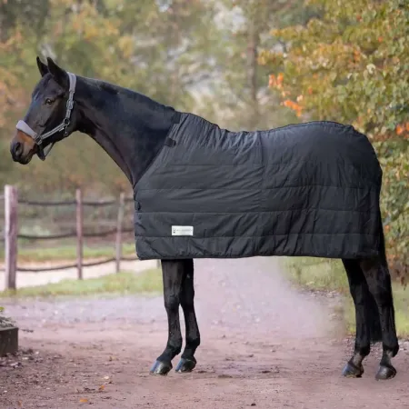 Waldhausen - Sous-couverture cheval economique 100g