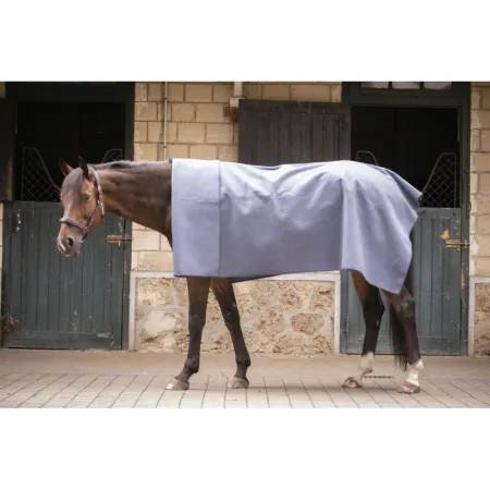 Paddock - Carré de laine