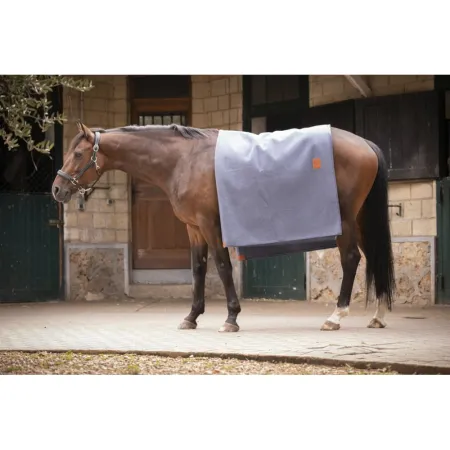 Paddock - Carré de laine