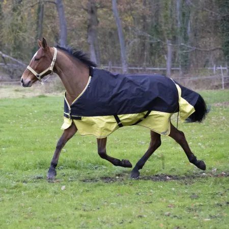 Equitheme - Couverture Tyrex 600D standard 0g