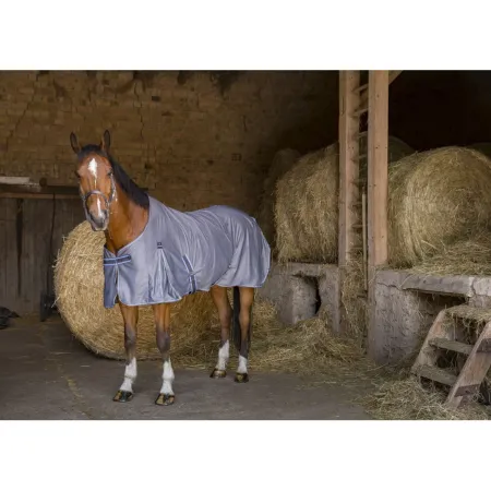 Equitheme - Chemise cheval Cool Dry