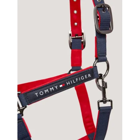 Tommy Hilfiger - Licol Global