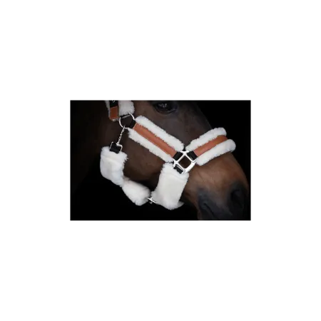 Penelope - Licol synthétique