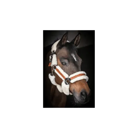 Penelope - Licol synthétique