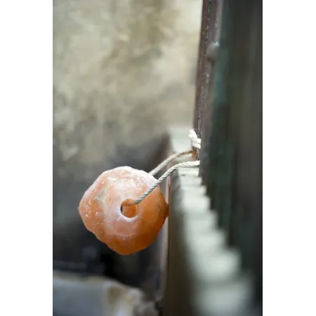 Hippotonic - Pierre à sel de l'Himalaya