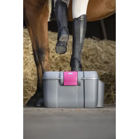 Hippotonic - Coffre de pansage Koala